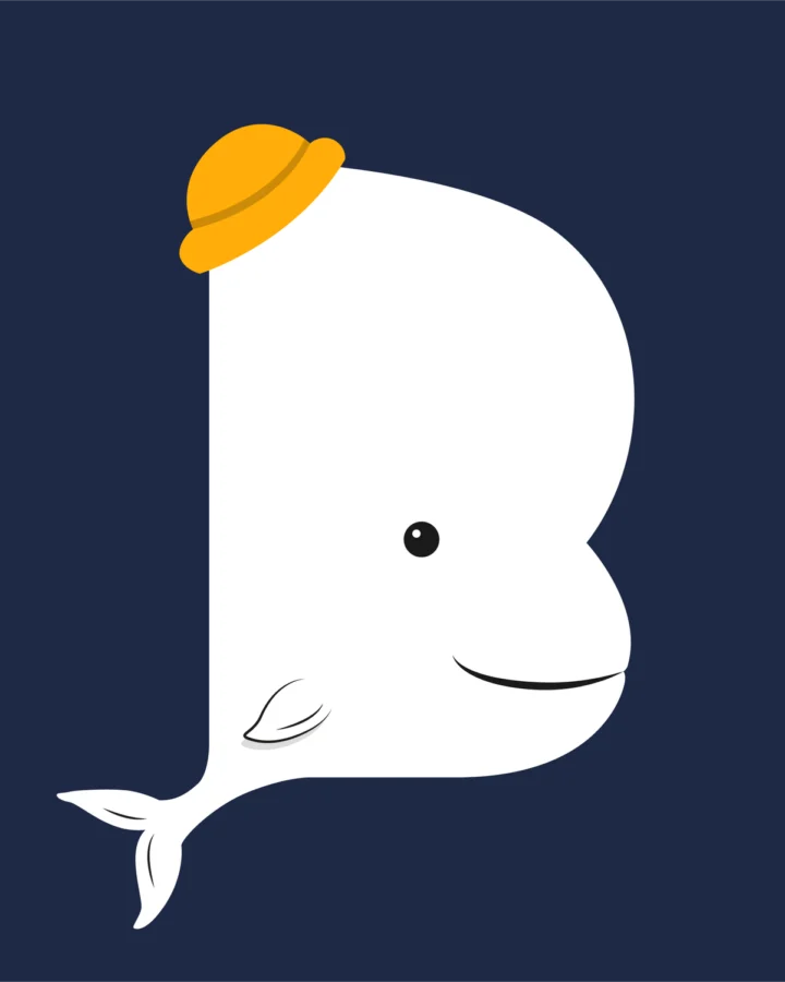 Beluga Animation videographer