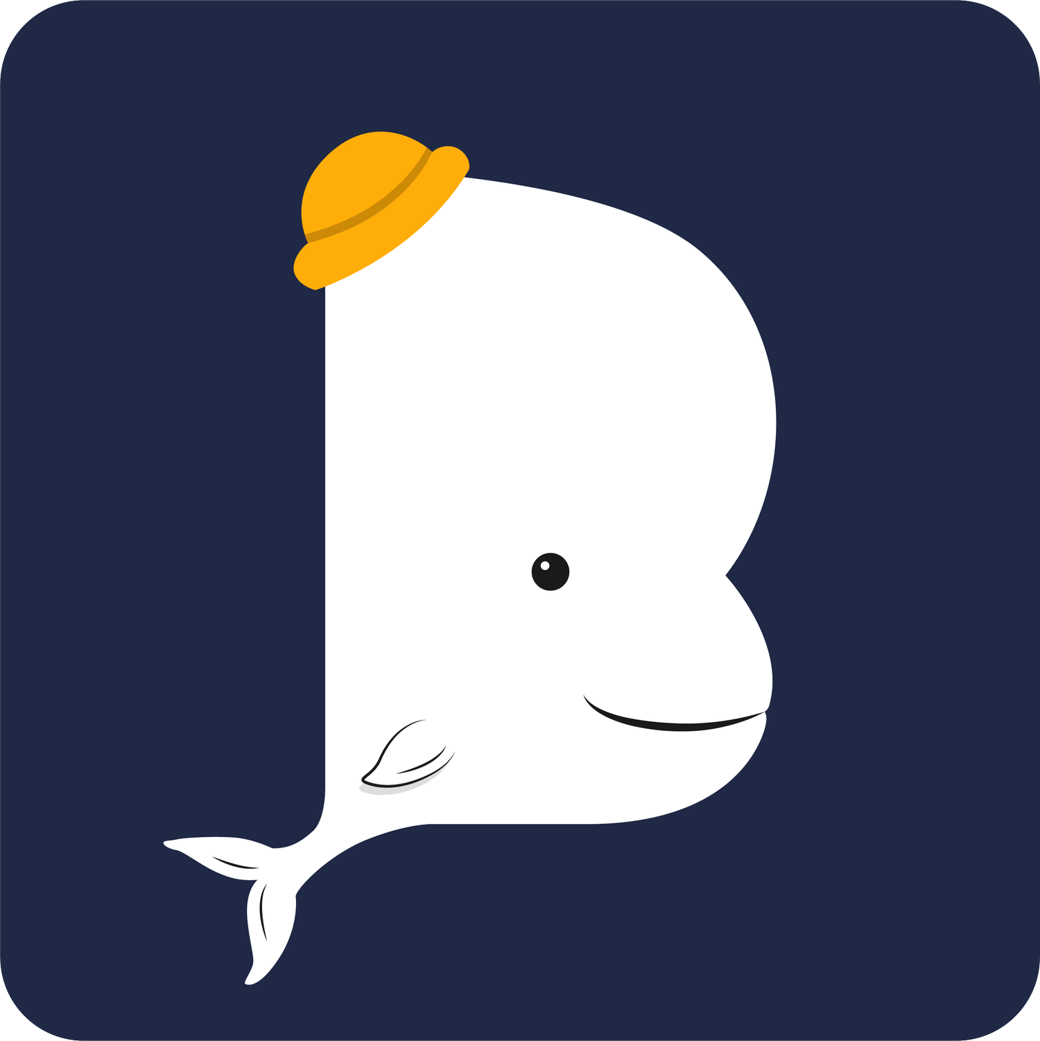 Beluga Animation videographer