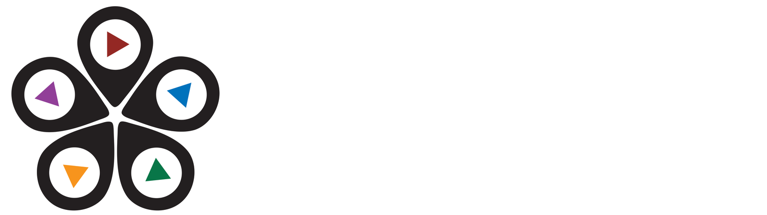 Video Destination videographer